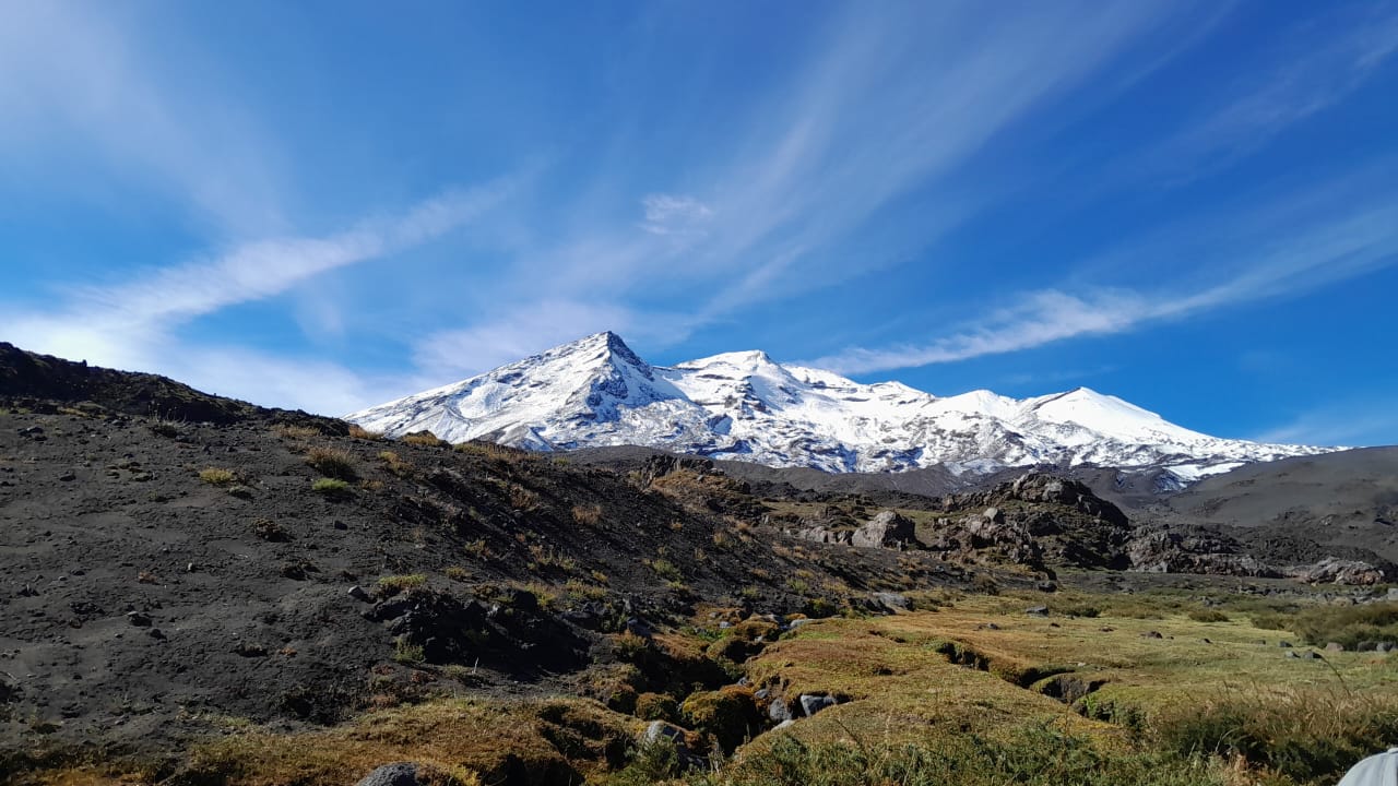 Imagen representativa del contenido